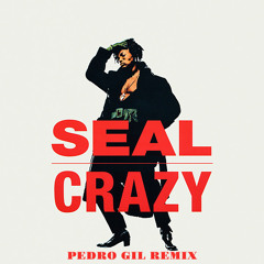 Crazy (Pedro Gil Remix)