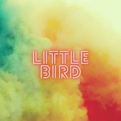 Little Bird