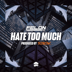 Felon MC Feat. Sublow Hz - Hate Too Much