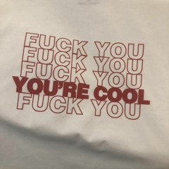 Fuck you fuck you fuck you You're cool fuck you shirt