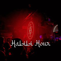 Habibi Hour - Episode 6 Solid Grooves Edition (12.10.2023)