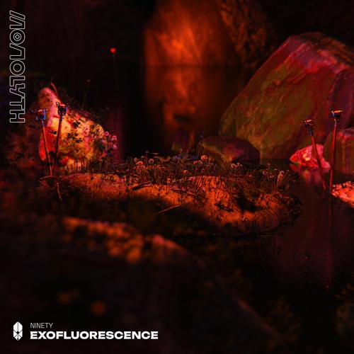 Ninety - Exofluorescence