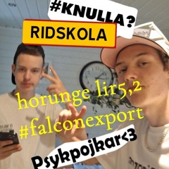 horunge lir 5,2 #falconexport #knulla?