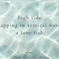 haiku #430: high tide / flapping in vertical waves / a lone fish