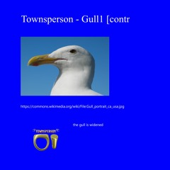 Gull1 [contraction]