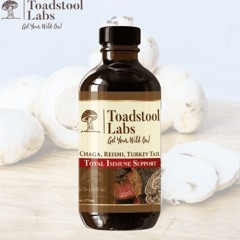 Discover the Healing Wonders of Turkey Tail and Chaga Mushrooms