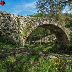 Arti Cinta  ▶ Lasso