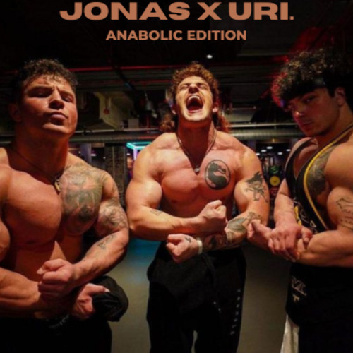 Animal I Have Become - Three Days Grace X ANABOLIC GYM MIX