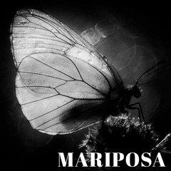 01. MARIPOSA (150)
