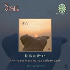 The Witness - 01 A Message From The Sun - Preview