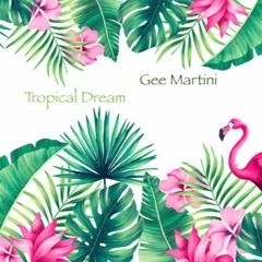 Tropical Dream (Re Edit Mix)