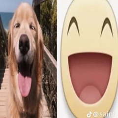 SILLY TIME (TO GO)