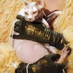 hardrock - ohya (saint)