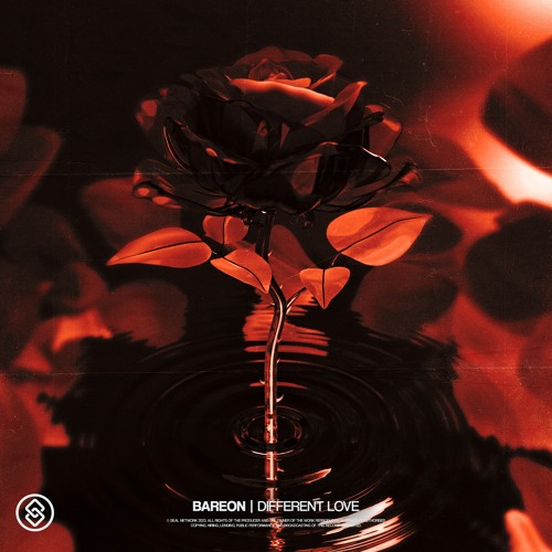 Bareon - Different Love