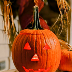 Lake of Cheney (Meat Puppets)