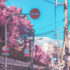 Floriography(꽃말)  w/ nawhij