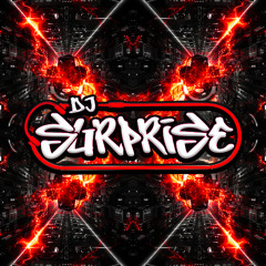 DJ SURPRISE - Back To The Roots