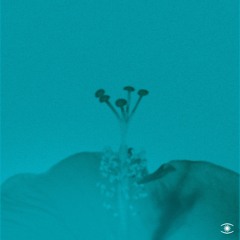 John Beltran - Soft Rain - s1003