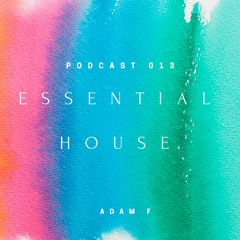 Essential House 013