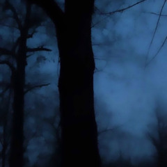 jugnino - thoinks (gen6 x jugnino) [chin0gl6ss exclusive]