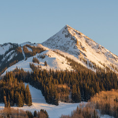 Crested Butte Mix