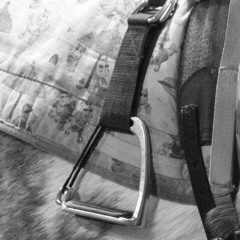 251031 - Galloping Ghosts