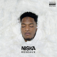 NRJ - NISKA - RESEAUX (PN2)