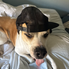 u piss me off (feat jack cxrtier! x 10Bands!)