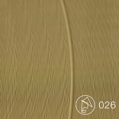 Embodiment  026 - Rambadu