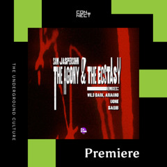PREMIERE: Sam Jaspersohn - The Agony (Wild Dark & Ariaano 'Bang Remix') [Beats On Time]