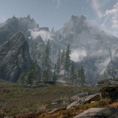 Cr00ks Summer Camp