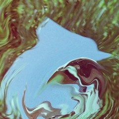 Mirror Mirror - VIP REMIX