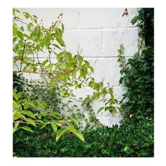 Way Too Soon ft. Ronnie Lemon (prod. bernard)