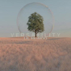 Lil Heimoo - ambition