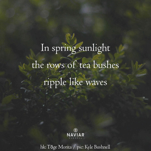 avaunt weightless - naviarhaiku604