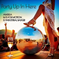 Party Up In Here - Amuka, M Is For Motion, DJ Industrial Badger - (Rafael M Peak Vibe Remix)