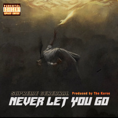 Supreme Cerebral & Kurse - Never Let You Go