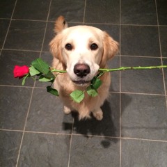 lqsoni leak Wedding ring first ver (feat holiday)