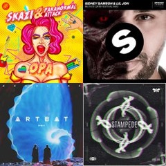 EDM Concert / Festival