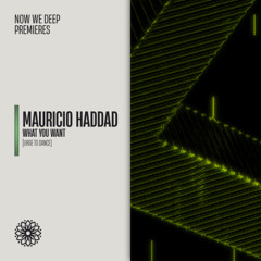 NWD PREMIERE | Mauricio Haddad - What You Want [Urge To Dance]
