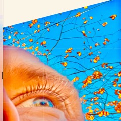 Let`s solve this down at the club