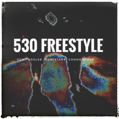 530 FREE$TYLE