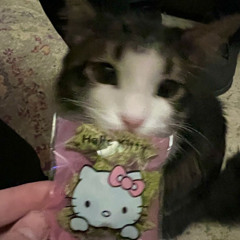 Zombi (кристалически пох)