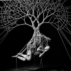 LYNCH - FORGIVEN (STUDIO MIX)