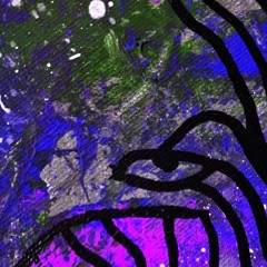 REC001 (Afro House).WAV