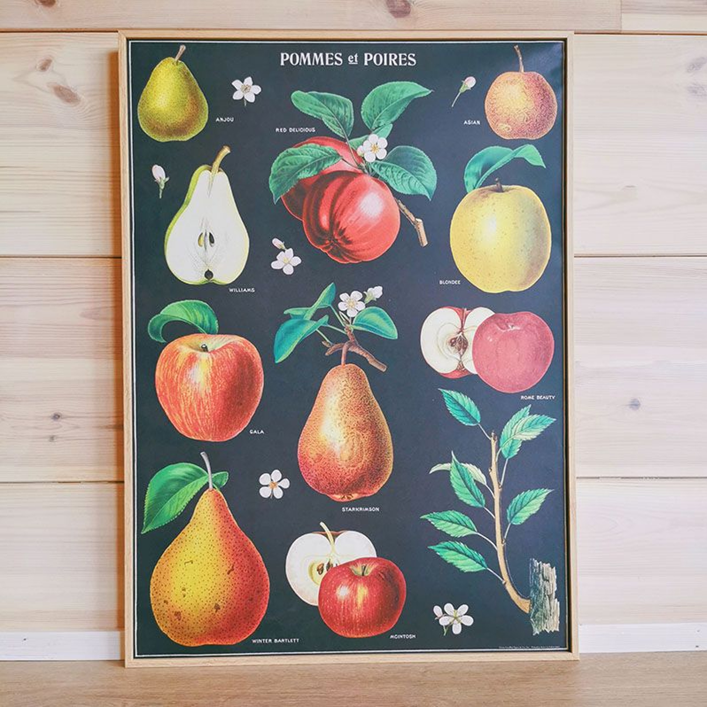 SAPORE E ODORE - N°152 POMMES ET POIRES episode artwork