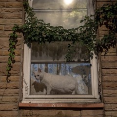 what would someone as perfect as you want with a fucking loser like me anyways lmao