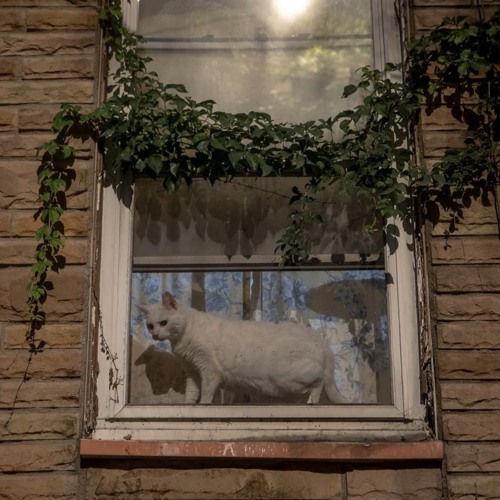 what would someone as perfect as you want with a fucking loser like me anyways lmao