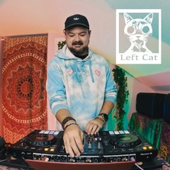 Melodic House Music DJ Mix | Purple Trees Radio #99 | DJ Left Cat