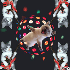 DISCO FEVER NIGHT | [1ST SEPTEMBER 2024]